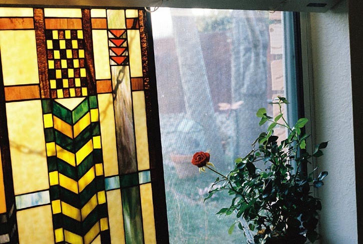 Kodak 400 NC film