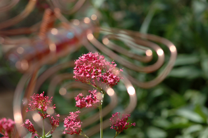 Spring Garden