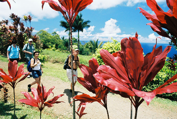Garden of Eden