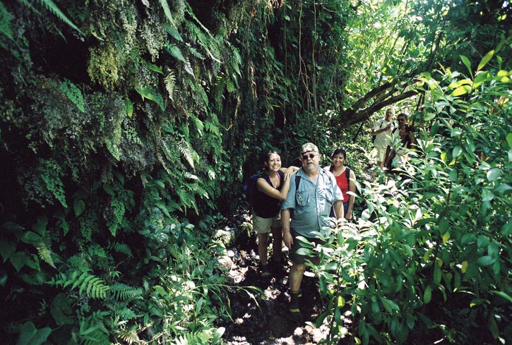 The Mighty Jungle