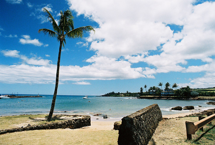 Kona Wide