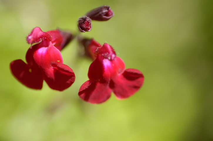 Wide Open Macro