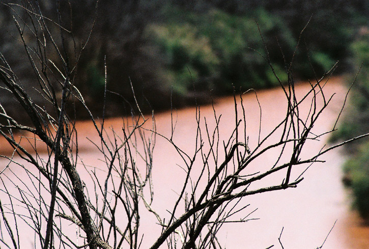 The Pecos River