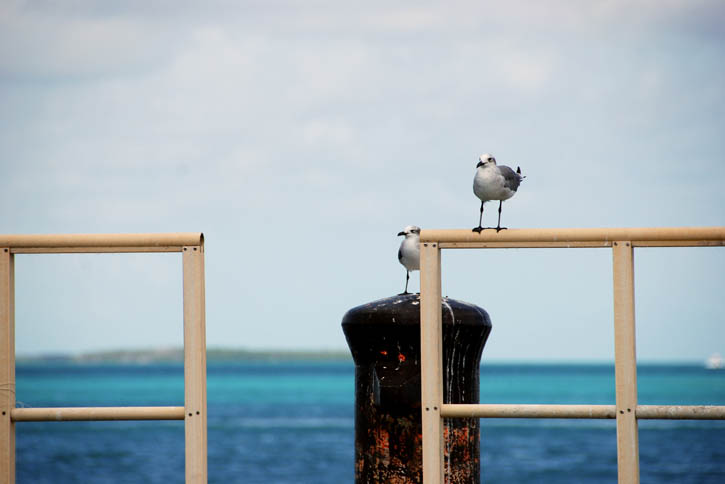 Standing on the dock of the bay