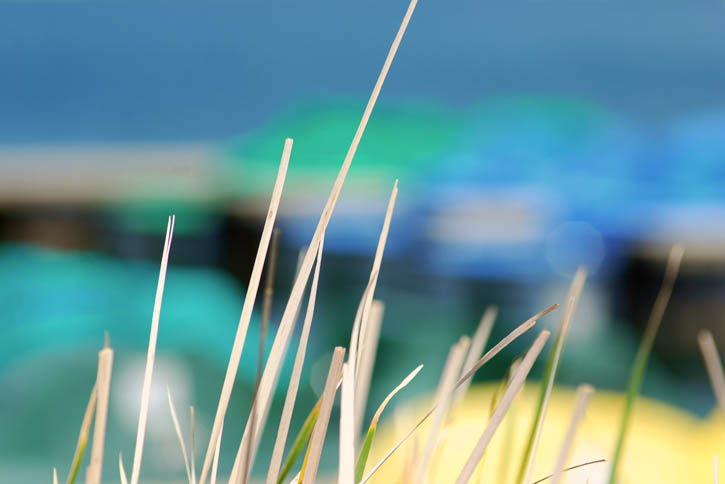 Arjmd S Photoblog 3 Enjoy