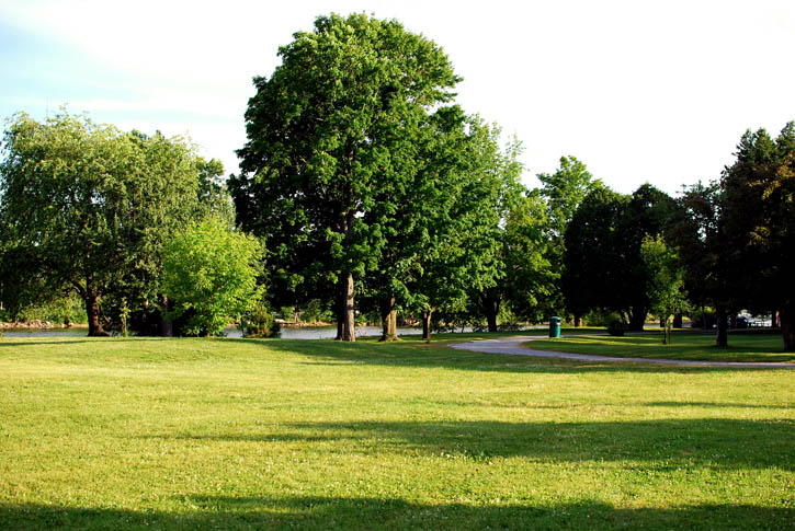 Disc Golf Course