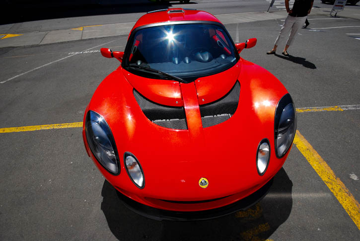 Lotus