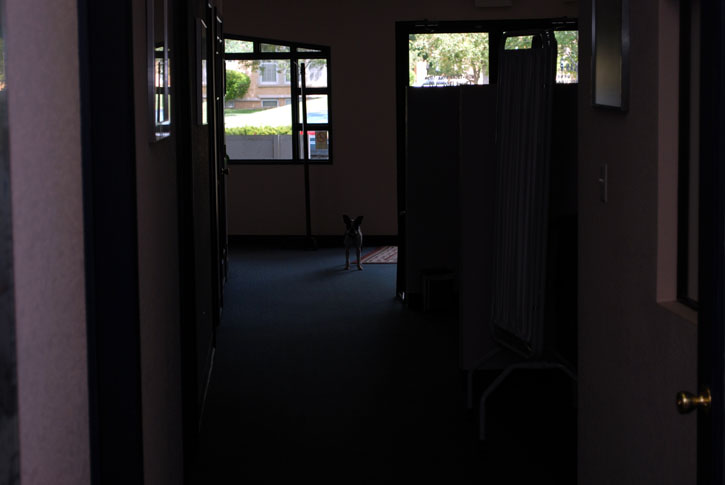 The analog security system at work. 