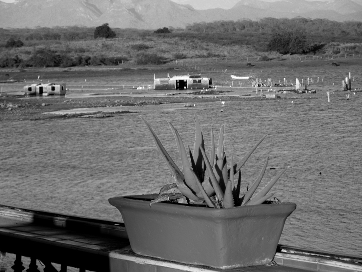 El Salto 1904