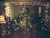 XmasPalm