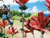 Garden of Eden