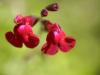 Wide Open Macro