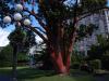 Same Tree