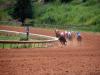 Ruidoso Downs