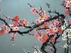 Spring in Korea