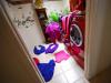 The laundry