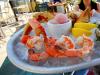 Protein from the Sea