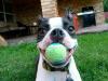 BALL!!!!!