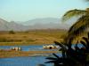 More of the El Salto Vista