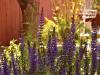 Spring Garden