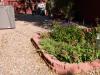 Spring Garden 2011