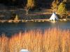 The Cottage